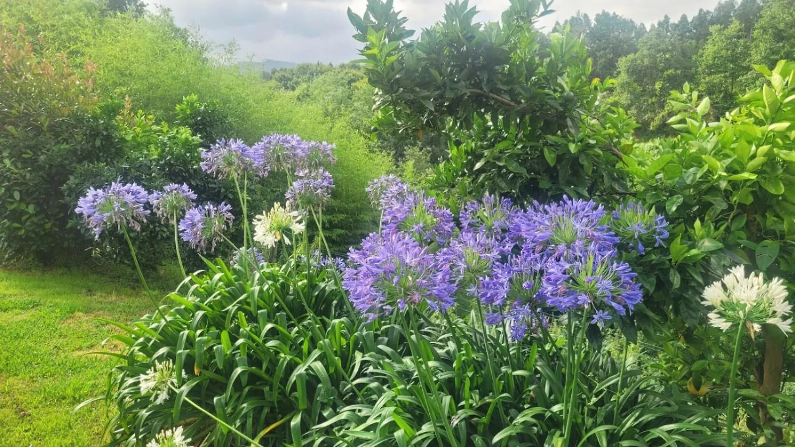 Hotel Aldori Landetxea: Adults-Only Biosphere Retreat Muxika